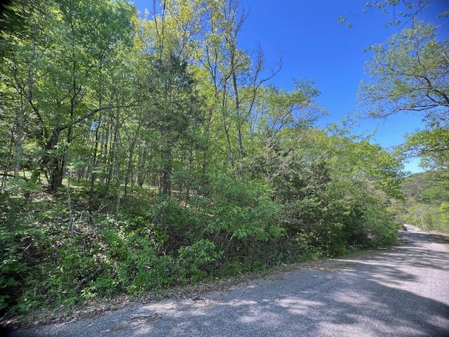 97 Thunderbird Drive, Holiday Island, AR 72631