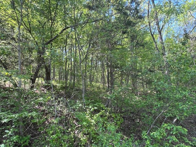 97 Thunderbird Drive, Holiday Island, AR 72631