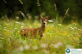 225 Williams Lane, Tobyhanna Twp, PA 18355