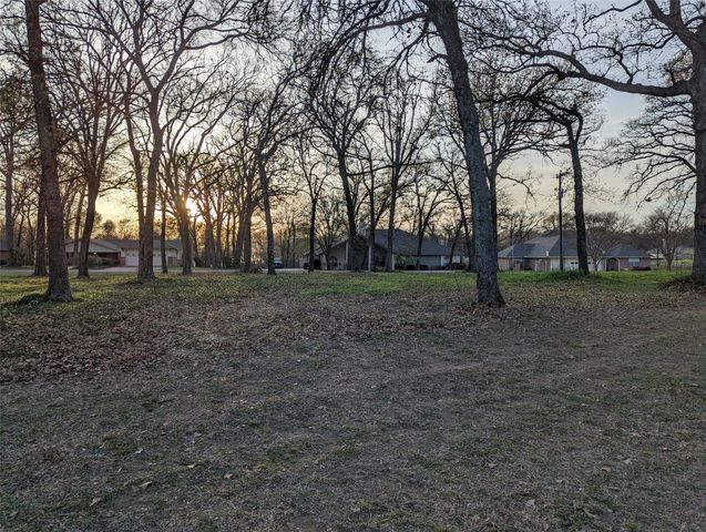 0 Briarwood Drive, Kemp, TX 75143