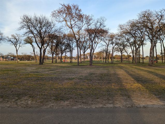 0 Briarwood Drive, Kemp, TX 75143