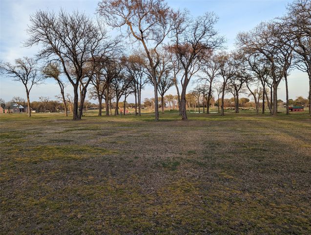 0 Briarwood Drive, Kemp, TX 75143