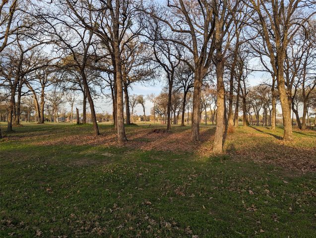 0 Briarwood Drive, Kemp, TX 75143