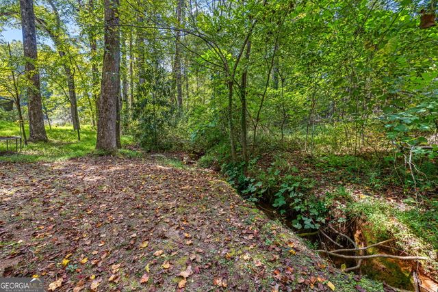 395 E Louise Street, Clarkesville, GA 30523