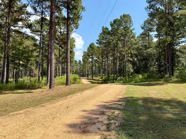 1222 Gates Rd., Columbia, MS 39429