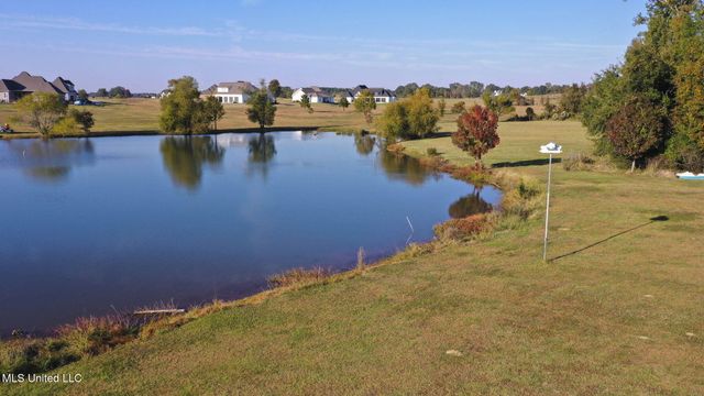 104 Chamberlin Court, Madison, MS 39110