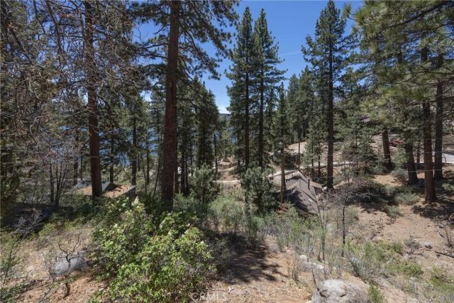 352 Big Bear Trail, Fawnskin, CA 92333