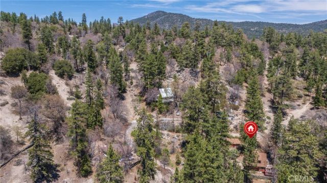 352 Big Bear Trail, Fawnskin, CA 92333