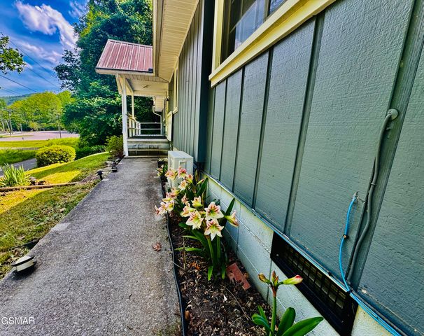 315 Elbow Lane, Gatlinburg, TN 37738