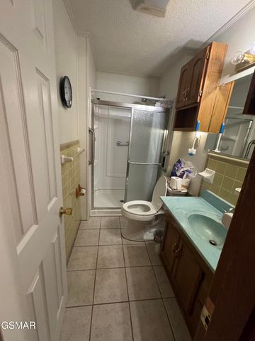 315 Elbow Lane, Gatlinburg, TN 37738