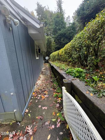 315 Elbow Lane, Gatlinburg, TN 37738