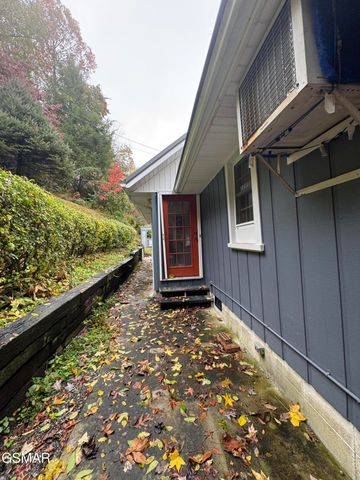 315 Elbow Lane, Gatlinburg, TN 37738