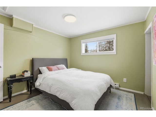 617 E 6th St, Leadville, CO 80461