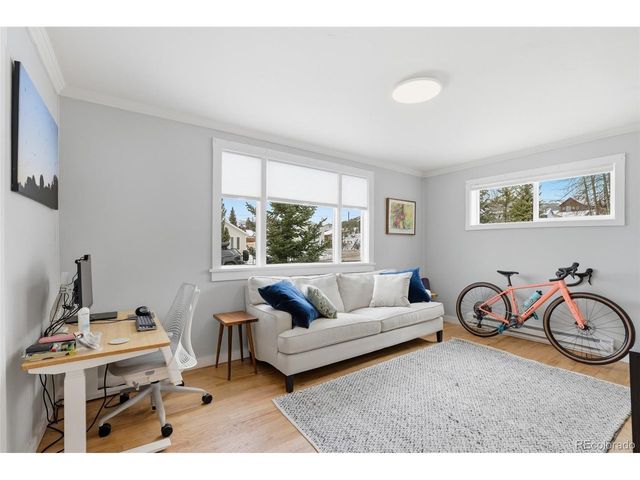 617 E 6th St, Leadville, CO 80461
