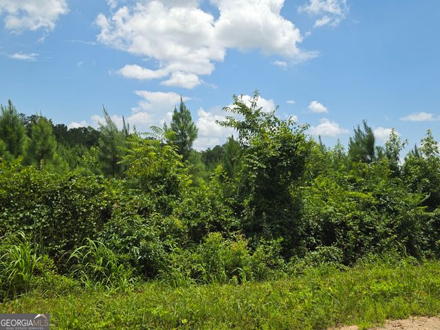 0 Wehunt Road, Covington, GA 30016
