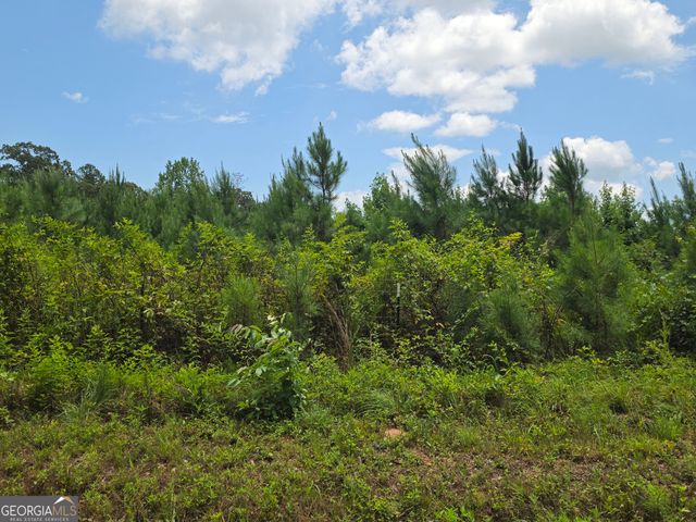 0 Wehunt Road, Covington, GA 30016