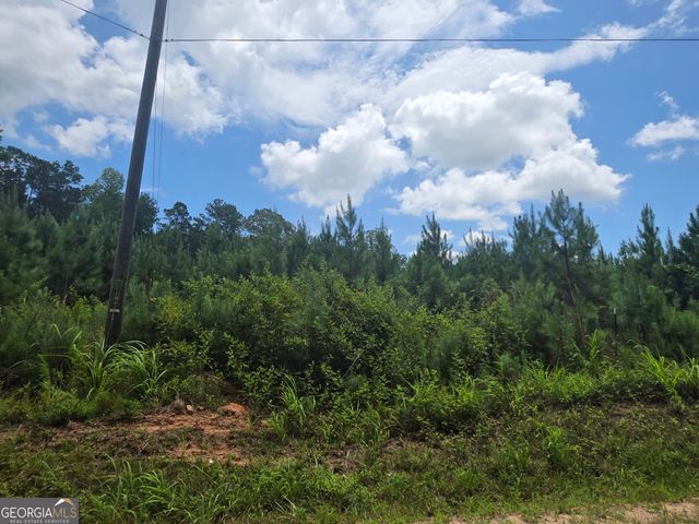 0 Wehunt Road, Covington, GA 30016