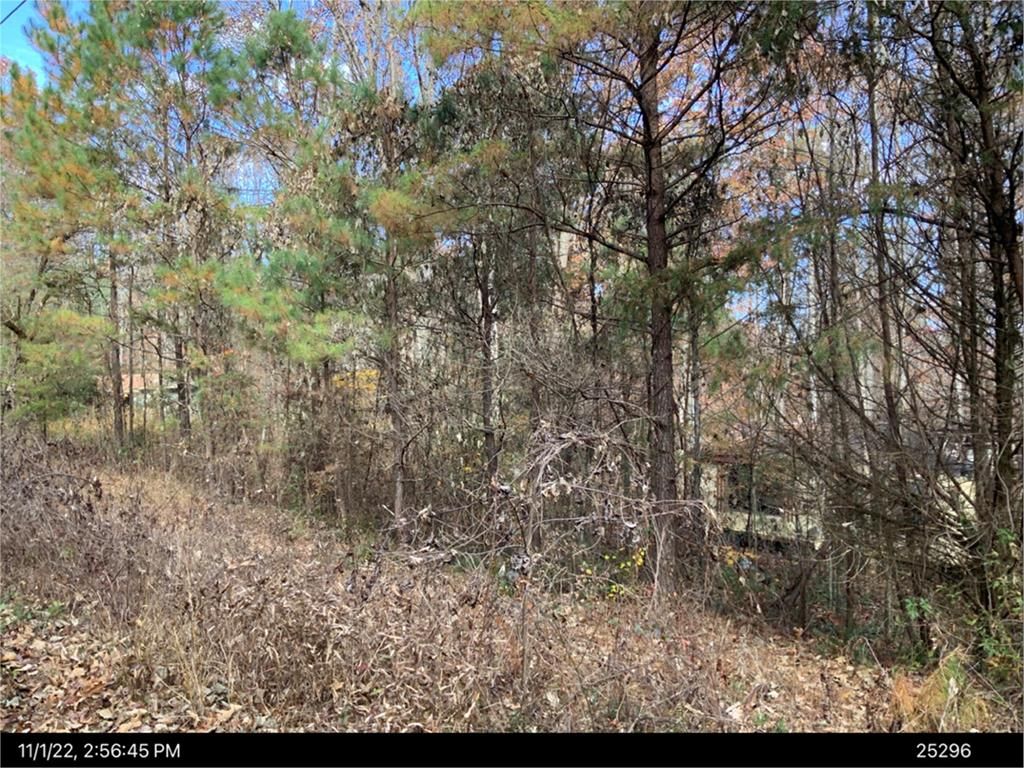 401 Southern Road, Ellijay, GA 30540