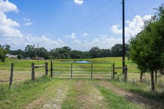12151 State Highway 75 N, Buffalo, TX 75831