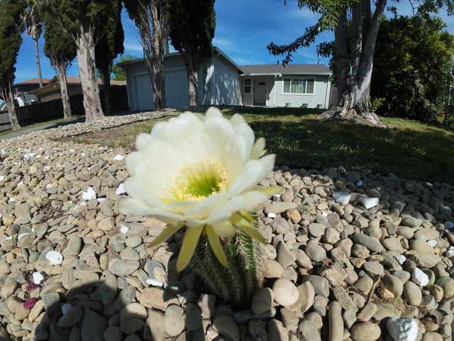 173 Bell Ave, Sacramento, CA 95838