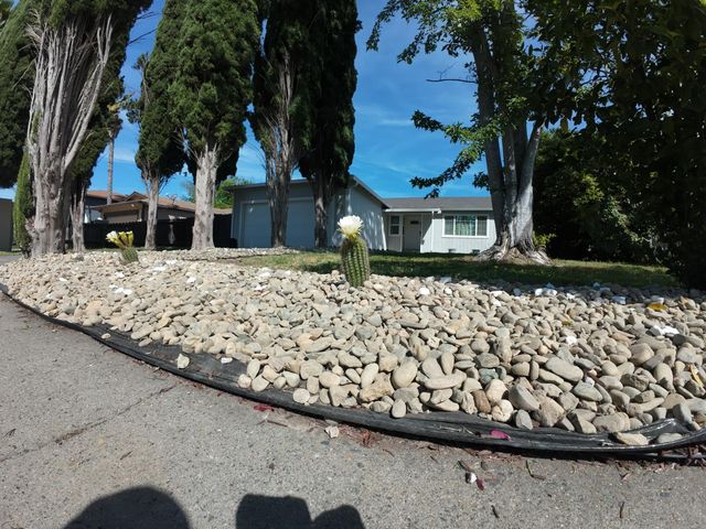 173 Bell Ave, Sacramento, CA 95838