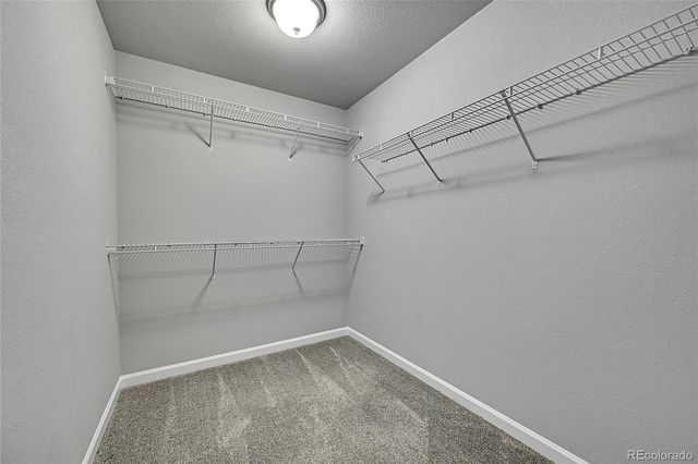 996 Petra Heights, Colorado Springs, CO 80916