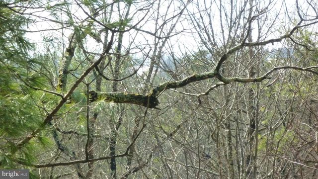 51 FORREST ST, Basye, VA 22810