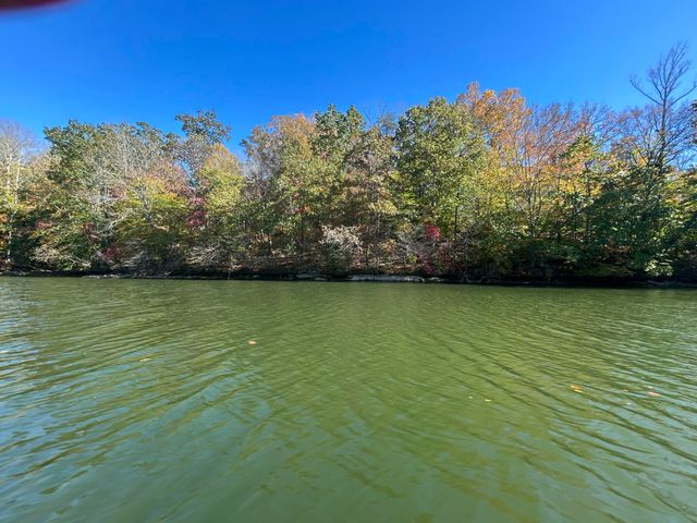 Lot 63 Waterworld Pointe, Goodview, VA 24095