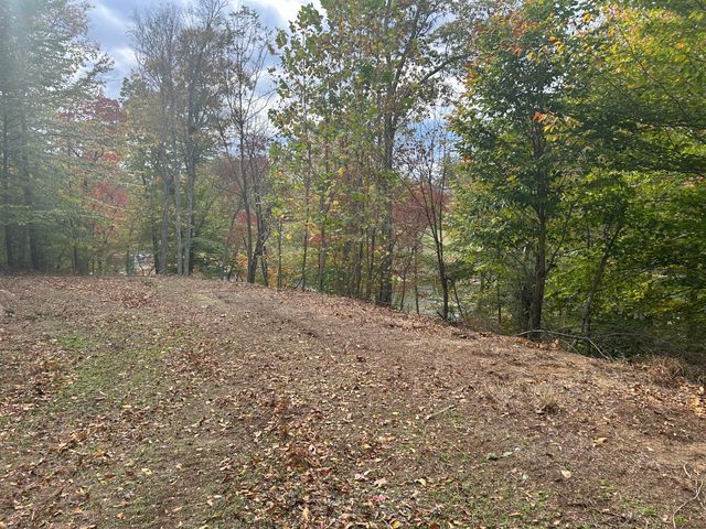 Lot 63 Waterworld Pointe, Goodview, VA 24095