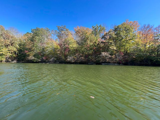 Lot 63 Waterworld Pointe, Goodview, VA 24095