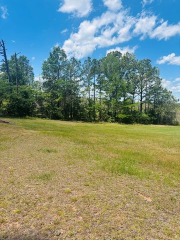 1687 NW Hwy 131, Baker Hill, AL 36027