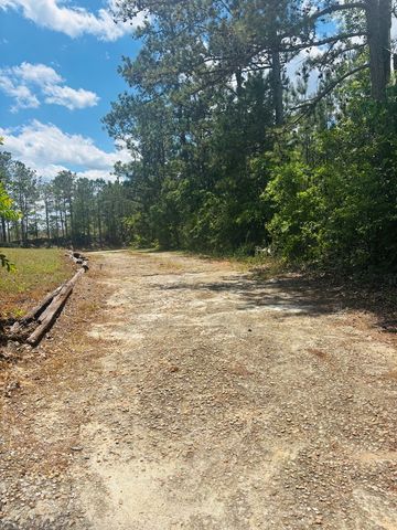 1687 NW Hwy 131, Baker Hill, AL 36027