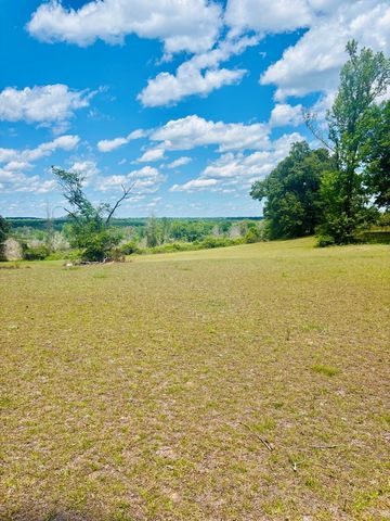 1687 NW Hwy 131, Baker Hill, AL 36027