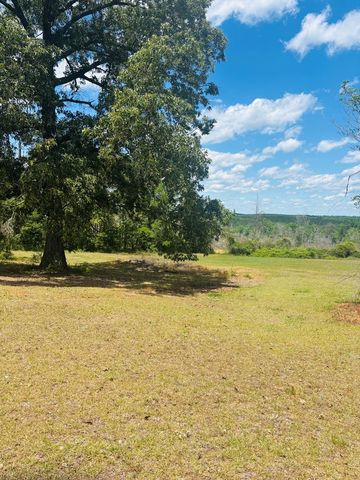 1687 NW Hwy 131, Baker Hill, AL 36027