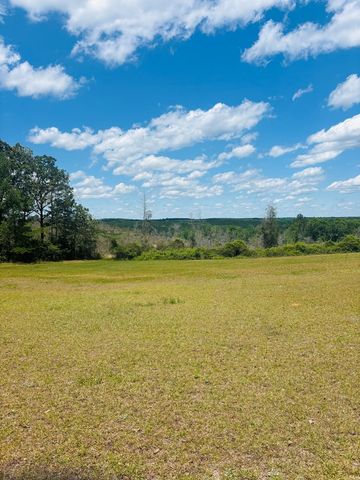 1687 NW Hwy 131, Baker Hill, AL 36027