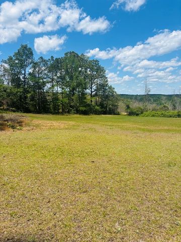 1687 NW Hwy 131, Baker Hill, AL 36027