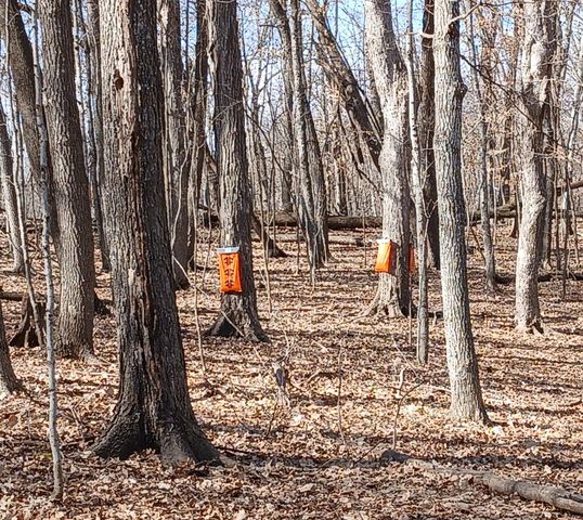 1380 90th Street SW, Alexandria, MN 56308