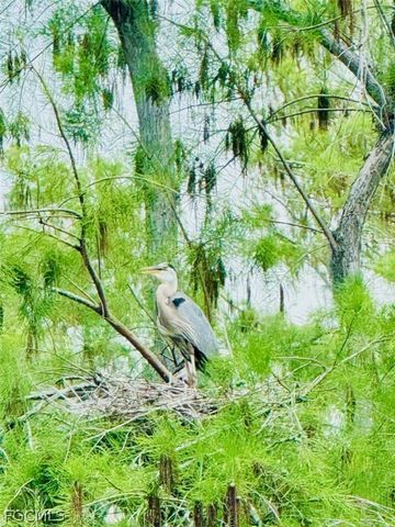 10526 Carena CIR, Fort Myers, FL 33913