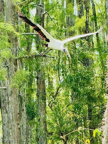 10526 Carena CIR, Fort Myers, FL 33913