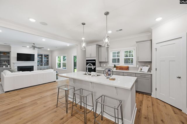 133 Collins Cove Drive, Chapin, SC 29036