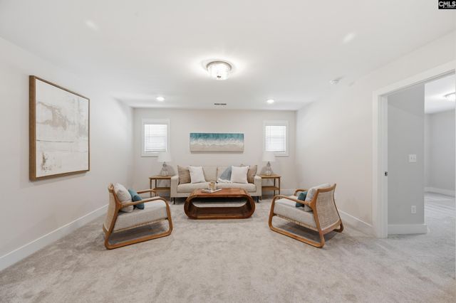 133 Collins Cove Drive, Chapin, SC 29036