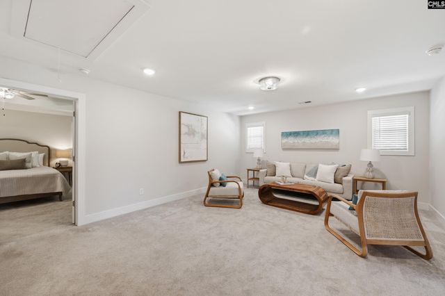 133 Collins Cove Drive, Chapin, SC 29036