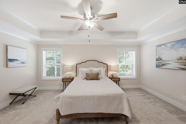133 Collins Cove Drive, Chapin, SC 29036