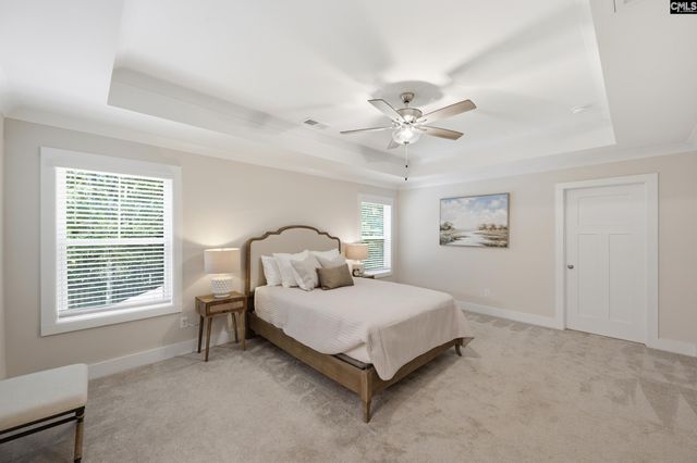 133 Collins Cove Drive, Chapin, SC 29036