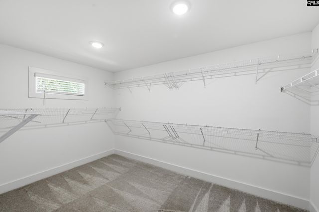 133 Collins Cove Drive, Chapin, SC 29036