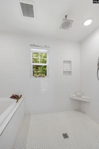 133 Collins Cove Drive, Chapin, SC 29036