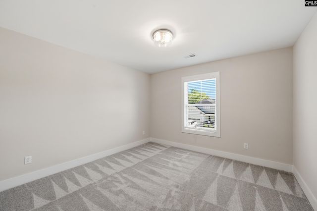 133 Collins Cove Drive, Chapin, SC 29036