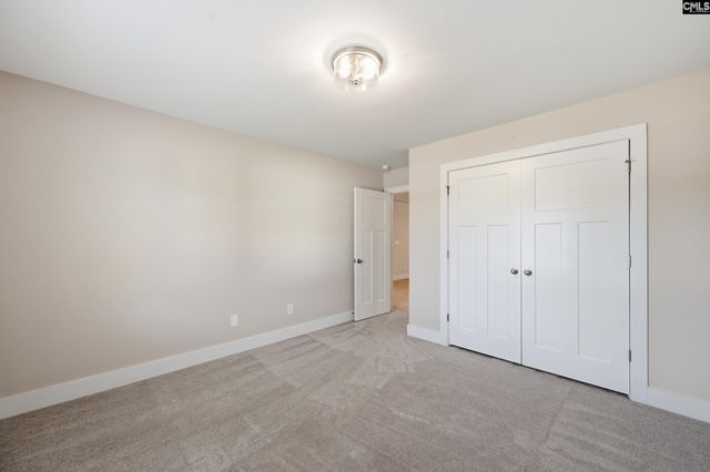 133 Collins Cove Drive, Chapin, SC 29036
