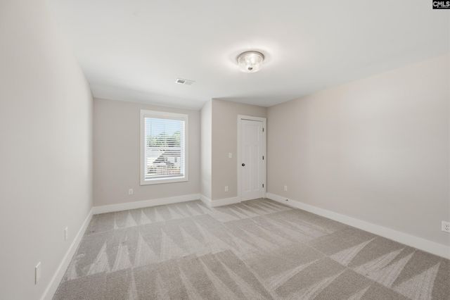133 Collins Cove Drive, Chapin, SC 29036