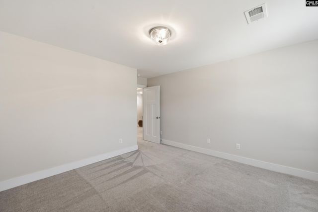 133 Collins Cove Drive, Chapin, SC 29036